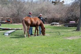 LR-WRF 0402026 Retreat-3352